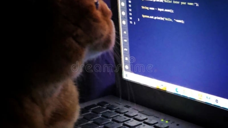 Pelatihan Cloud It Support Microsoft 365 & Google Workspace