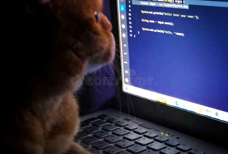 Pelatihan Cloud It Support Microsoft 365 & Google Workspace