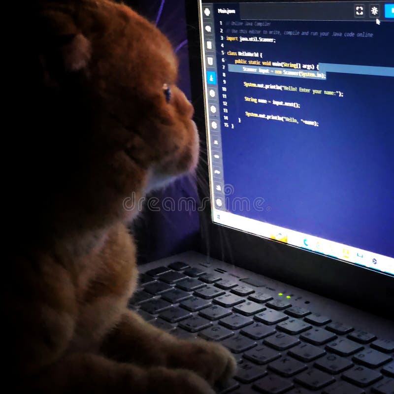 Pelatihan Cloud IT Support: Microsoft 365 & Google Workspace
